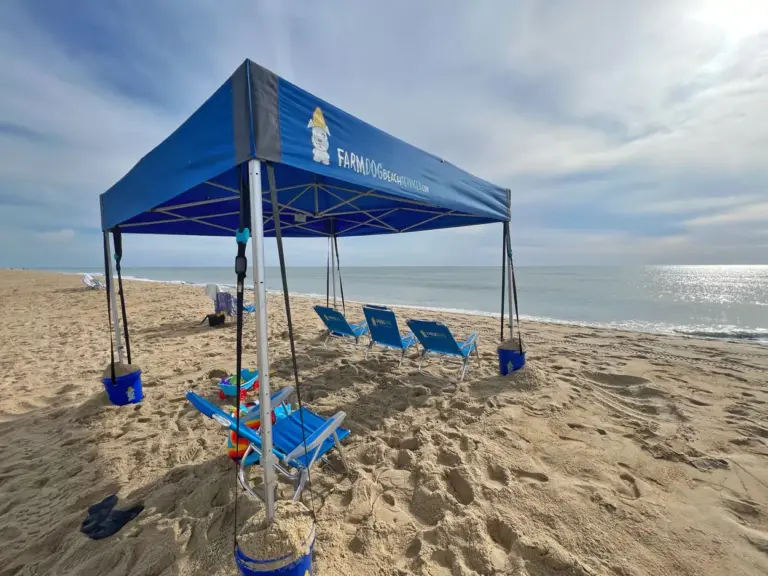beach setup service including a cabana and beach chairs